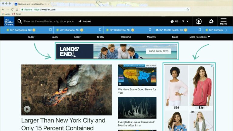 Google Display Ads 101: Everything You Should Know